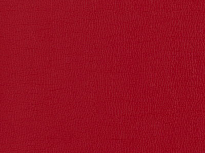 Brooklyn-07-Red