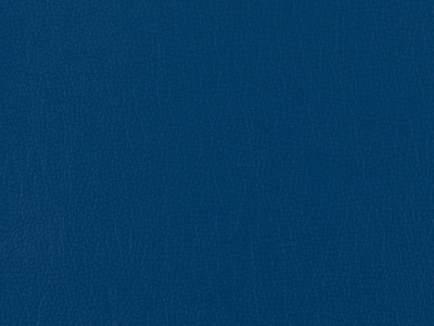 Brooklyn-11-Blue