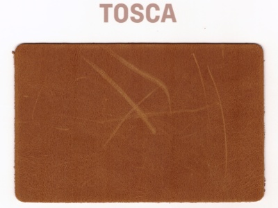 Tosca (1)