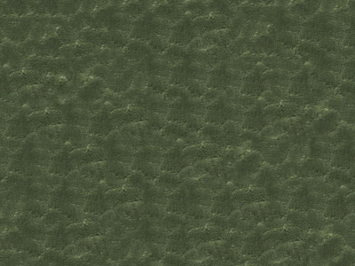 Neolux Chronograph 04 Forest (1)