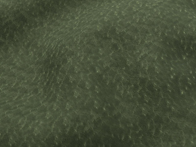 Neolux Chronograph 04 Forest (2)