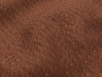 Neolux Chronograph 06 Autumn (2)