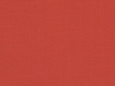 Sunny 10 orange