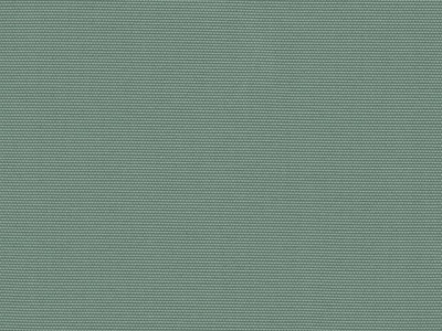 Sunny 13 olive