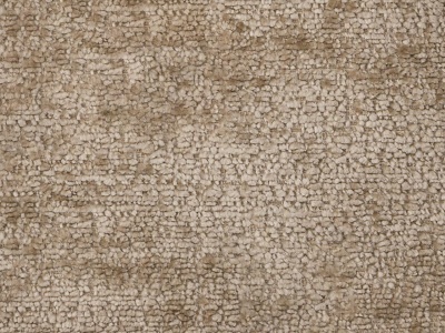 Bergen WR 104 Camel