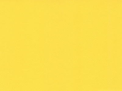 Dynactiv-215-Aspen-Gold