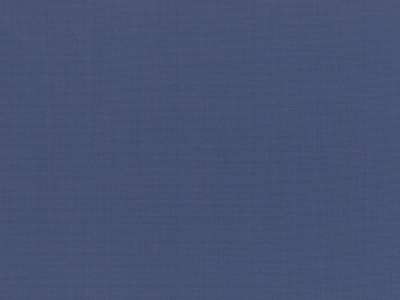 Siesta_plain_37
