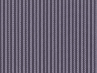Coral 06