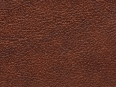 Mondial_31628