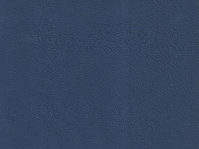bond 11 navy blue
