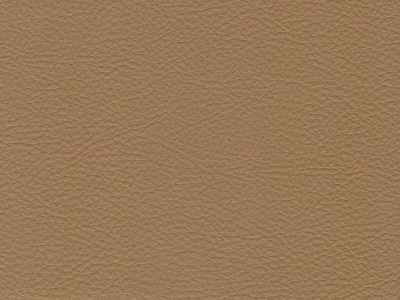 Daytona-04-Beige