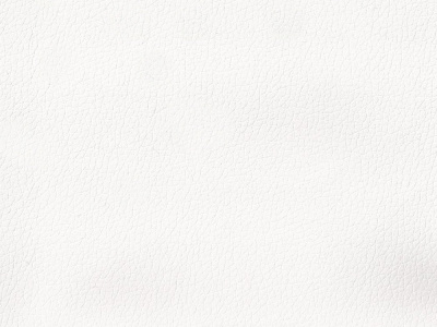viva 01 white